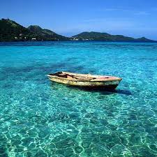 Ver imagen en tama&ntilde;o completo