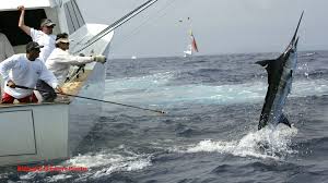 USVI Open - Atlantic Blue