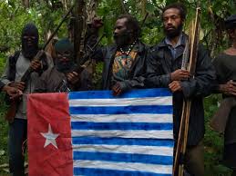 organisasi papua merdeka
