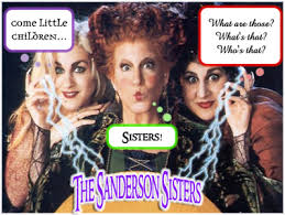 a bunch of hocus pocus