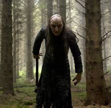 Shrooms, 2008, director Paddy