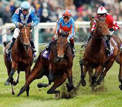 in this Breeders Cup race