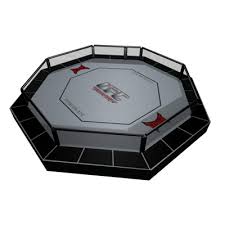 ufc octagon