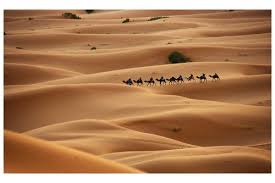 Sahara