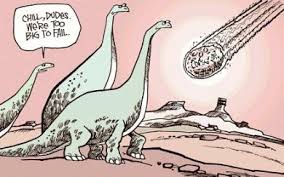 Too big to fail is too dumb