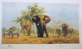 David Shepherd limited edition