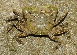 external image DSCF0009b.jpg