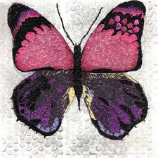 brazilian butterfly