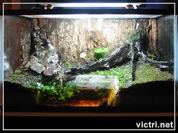 vivarium