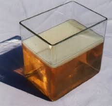 KOMBUCHA