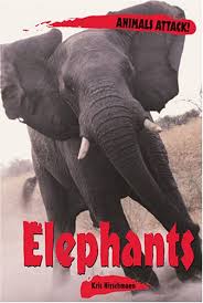 animals attacking humans