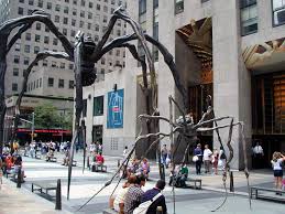 spiders photo