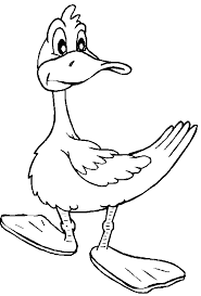 http://t3.gstatic.com/images?q=tbn:hKD3lf5LhskKtM:http://environnement.ecoles.free.fr/coloriages/canard_a.gif