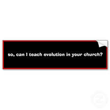 funny bumper sticker sayings