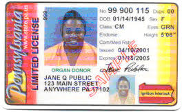 Ignition Interlock License