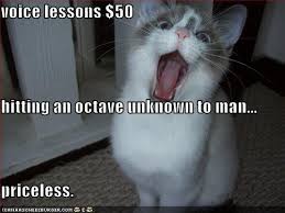 funny voice