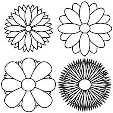 drawing flowers