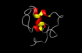 File:IGF-1.png - Wikimedia