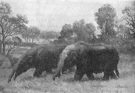 Trilophodon Four tusked