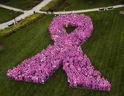 flyers,breast cancer walk