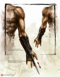 Live Action Assassins Creed