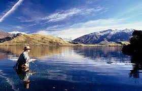 fly fishing trout