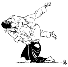 aikido