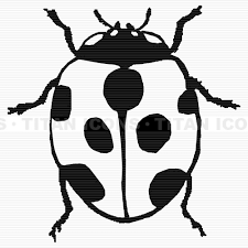 ladybugs clip art pictures