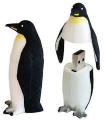 real penguin pictures
