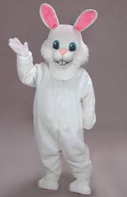 rabbit white
