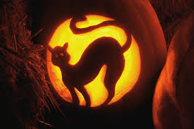 Oct. 27, 28 Boo in the Zoo