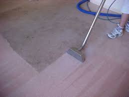 carpet%2520cleaning%2520supplies.jpg