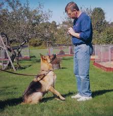 dog hand signals