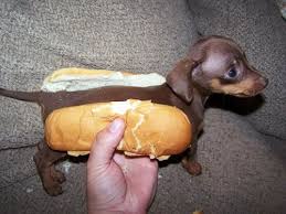 hotdog
