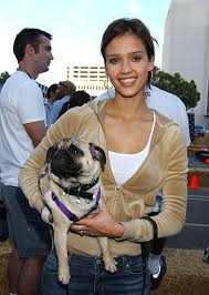 jessica alba blog