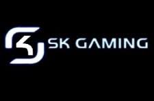 http://t3.gstatic.com/images?q=tbn:ljx3dnfyS6HcGM%3Ahttp://www.blogcdn.com/www.wowinsider.com/media/2008/10/wi-skgaminglogo.jpg