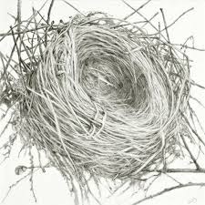 The Wie Empty Nest