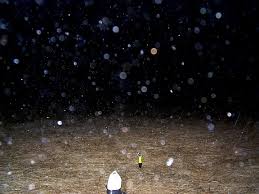 orbs