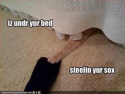 funny socks