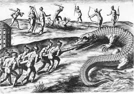 hunting crocodile