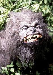 Photos of el chupacabra