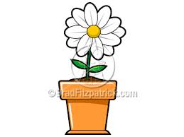 small flower clipart