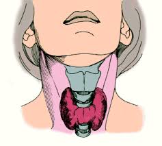 http://t3.gstatic.com/images?q=tbn:nIJjTdydV3J1IM:http://www.genzyme.fr/thera/ty/fr_p_tp_thera-ty_about-1.gif