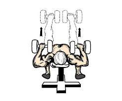 dumbbell press