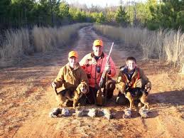 beagle hunting