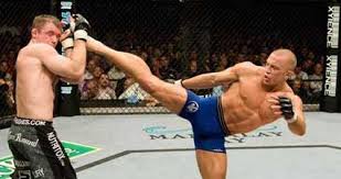 Georges St Pierre Vs Matt