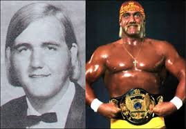 hulk hogan