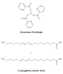 Conjugated Linoleic Acid