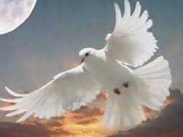 Προβολή εικόνας πλήρους μεγέθους