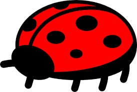 cute ladybug clipart